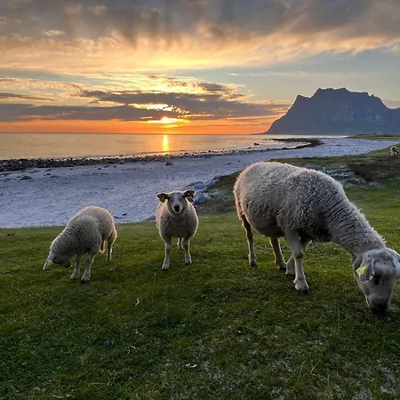 Fisherman's Cabin, Lofoten - 24 Bardbua