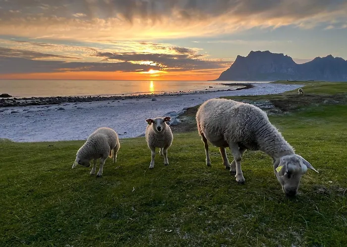 Fisherman's Cabin, Lofoten - 24 Bardbua